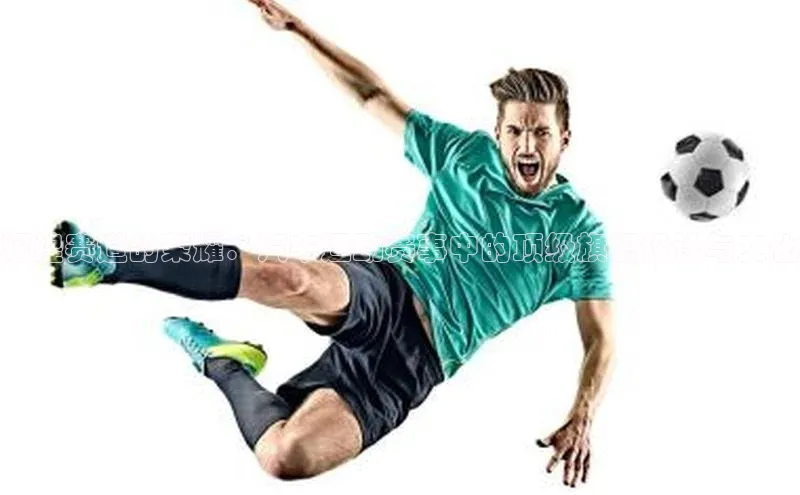 辉煌赛道的荣耀：汽车运动赛事中的顶级旗帜设计与文化