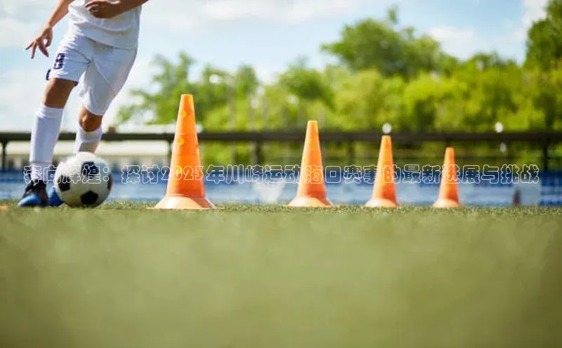 奔向辉煌：探讨2023年川崎运动海口赛事的最新进展与挑战